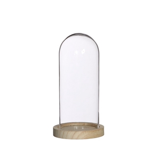 Glass Cloche+wood d10*20cm