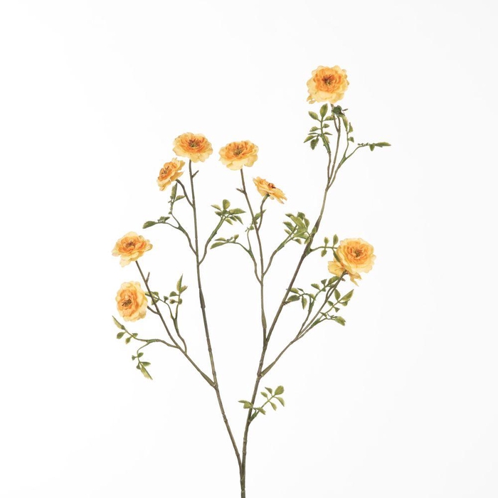 <h4>AF Rosa Wild L87cm Orange</h4>