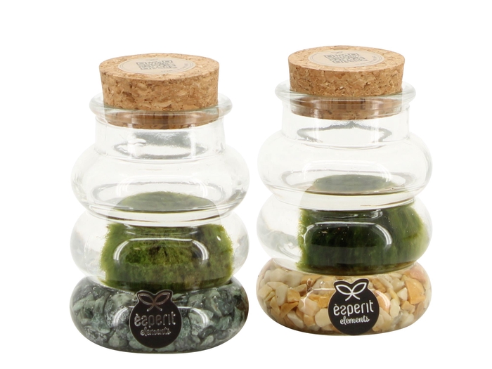 <h4>Opm Marimo Arrangement</h4>
