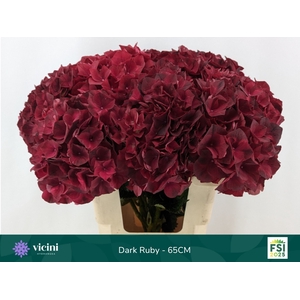 HYDR M MAG DARK RUBY