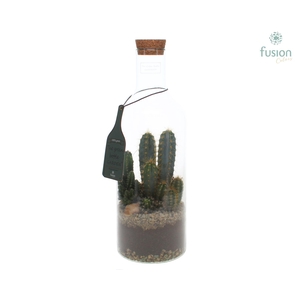 Green Bottle Fles Medium met Cactussen