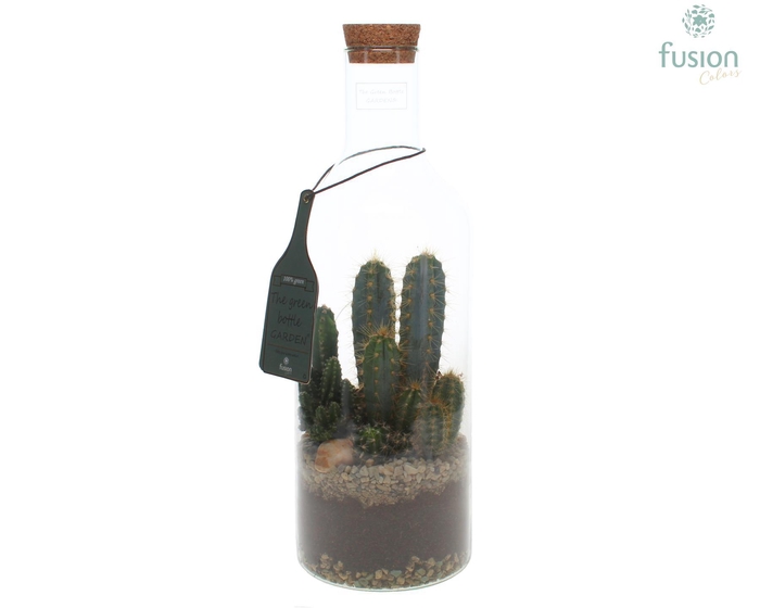 <h4>Green Bottle Fles Medium met Cactussen</h4>