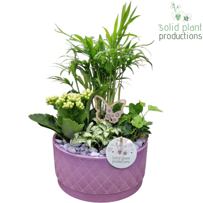 <h4>CH003 Loes Lila</h4>