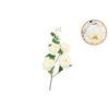 Silk Wild Rose White Single Stem 116cm