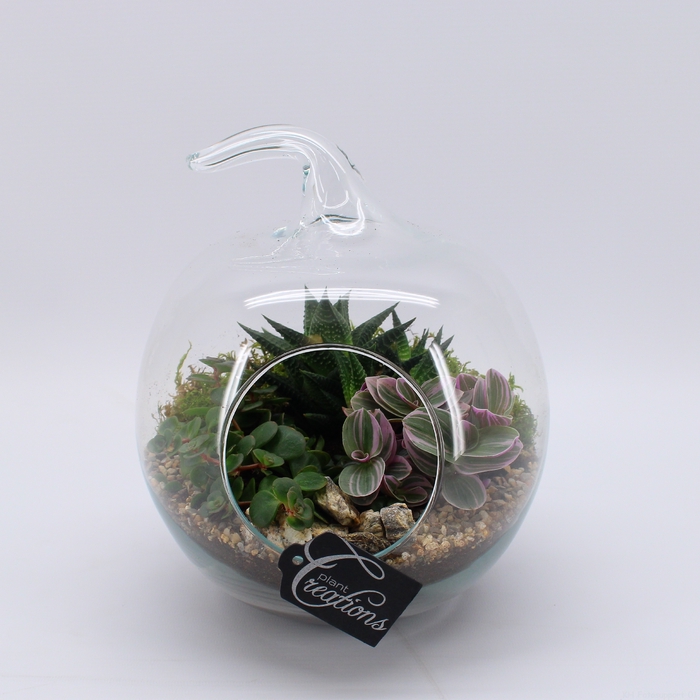 <h4>GRCR-2452 Green Essentials Terrarium</h4>