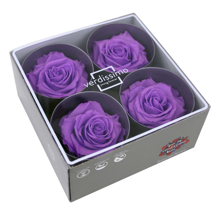 <h4>Roos premium bright lila</h4>