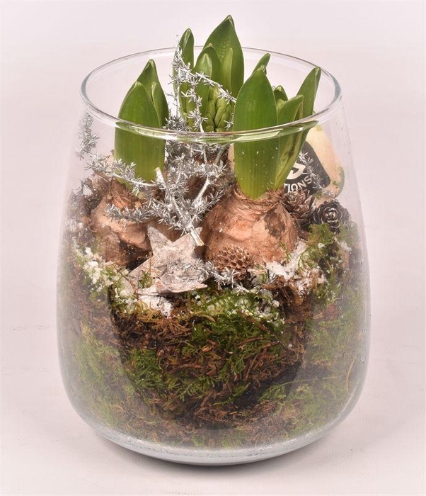 <h4>Glas vaas 14cm/ h 17cm</h4>