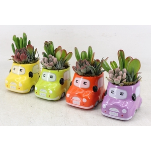 arr3 AD - Ker. cars 234/5