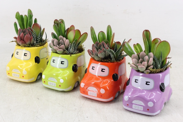 <h4>arr3 AD - Ker. cars 234/5</h4>