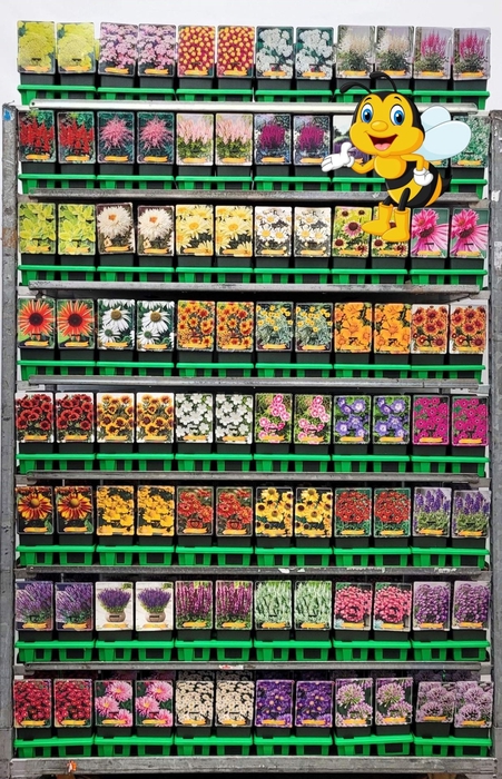 Vaste planten mixkar