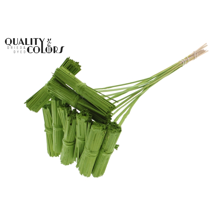 <h4>Kore Posy on stem Covered Light Green</h4>