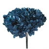 Hydrangea / Hortensia Blue Natural HRT/0610
