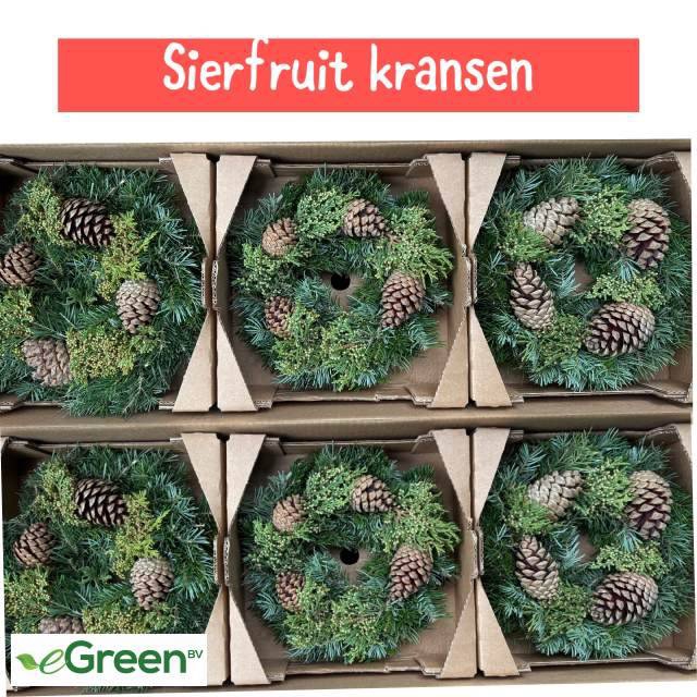 <h4>SIERFRUIT KRANS H%</h4>