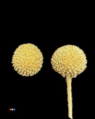 <h4>Craspedia Klb Gold</h4>