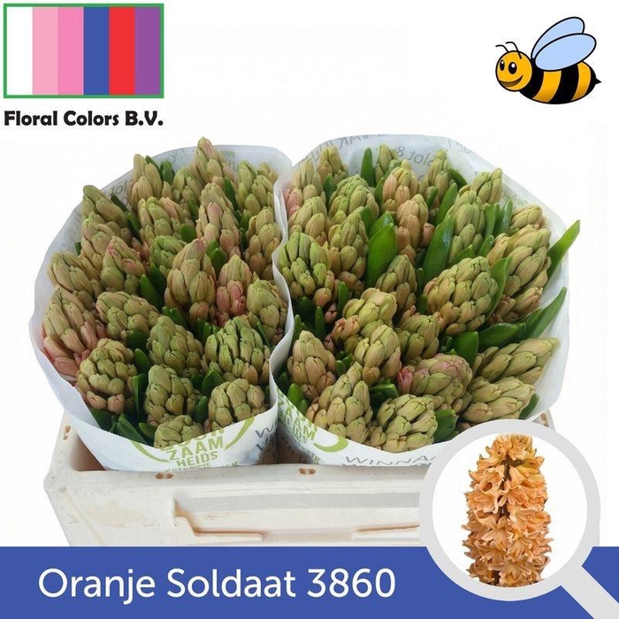 <h4>HYAC OVERIG ORANJE SOLDAAT</h4>