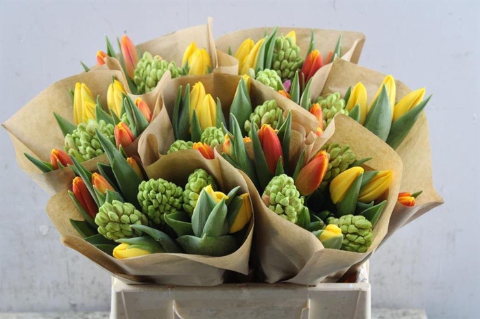 <h4>Hyacint-tulp Spring</h4>