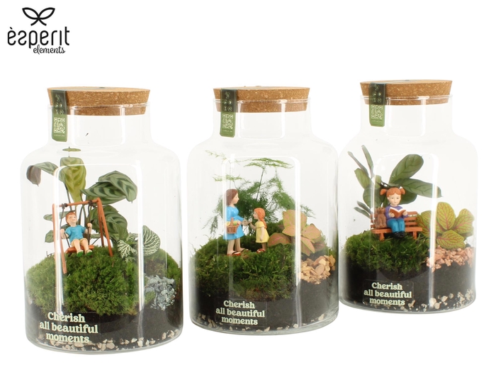 <h4>90979: Little Green Moments Terrarium</h4>