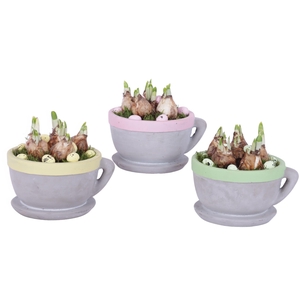 Easter Arr. Narcis Ceramic Cup And Saucer Colored Rim Ø19cm