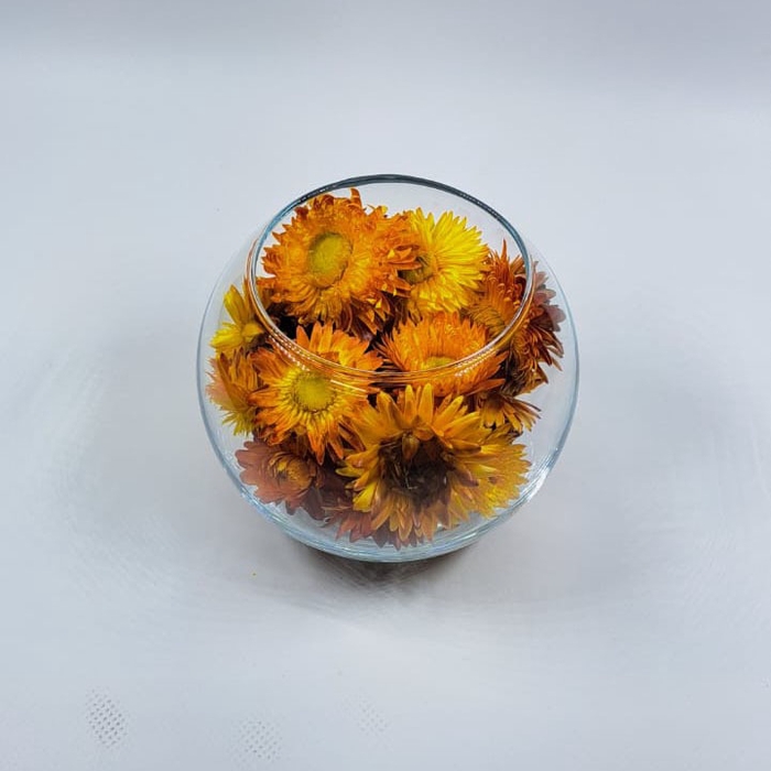 Bol d10cm helichrysum oranje droog
