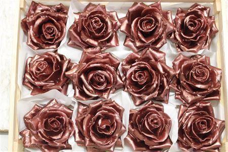 Wax Roos Pearl Bordeaux