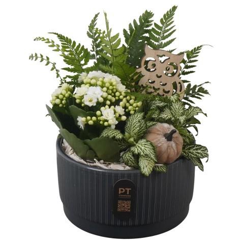 <h4>PTHI3212 Arrangement Autumn Indoor in keramiek schaal</h4>