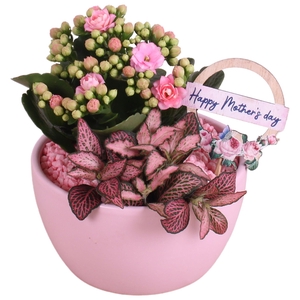 Mothersday Arr. Indoor Ceramic Bowl Round Pink Ø13cm 2PP