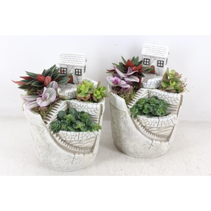 arr3 SN - Mountain villa L x3