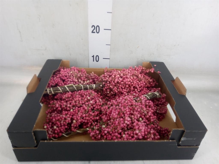 <h4>Decoratieve materialen   ...H%</h4>