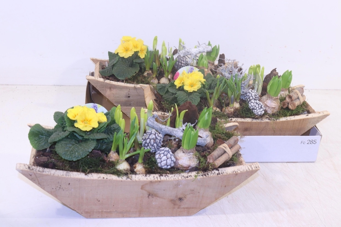 <h4>Arr Tuinplanten</h4>