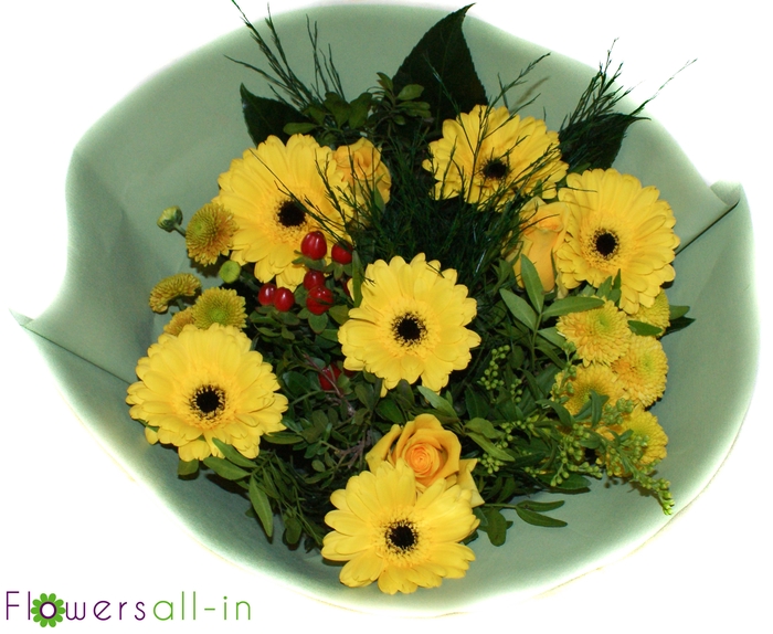 <h4>202305- geel</h4>