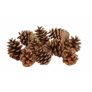 Deco Pinecone Oostenrijker 10kg Natural