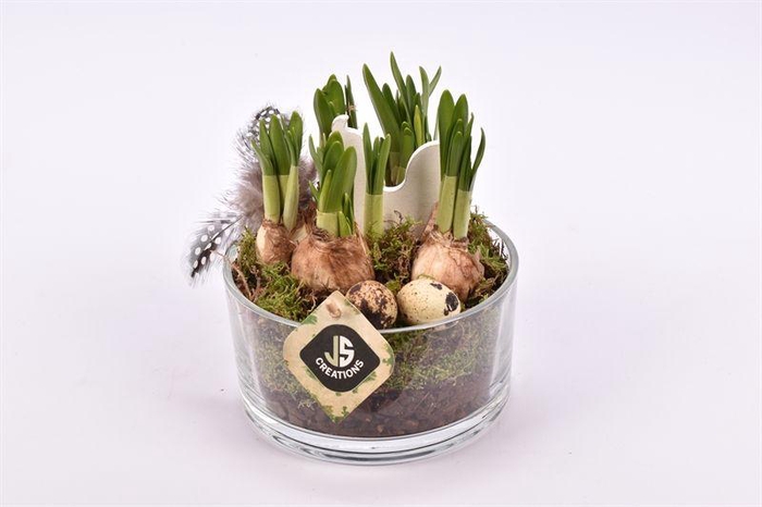 <h4>Glas schaal 15cm</h4>