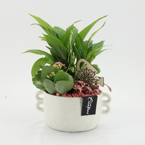 ESCR-2638RZ Essentials