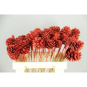 Stick Pine Cone Red