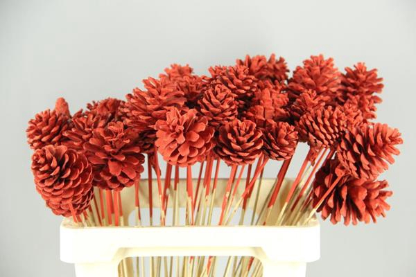 Stick Pine Cone Red