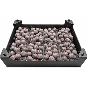 Waxmalus Gl Taupe