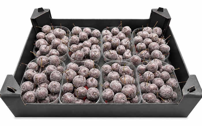 <h4>Waxmalus Gl Taupe</h4>