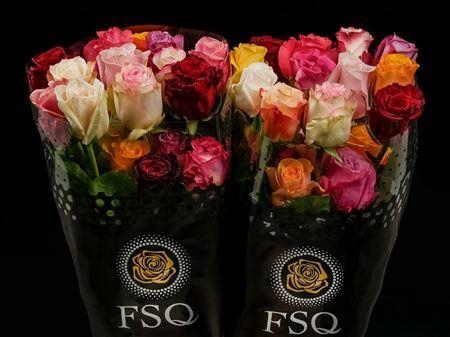 <h4>R Gr Seasons Mix</h4>