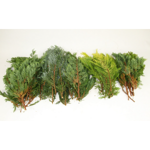 CONIFEER MIX ZAK 5KG