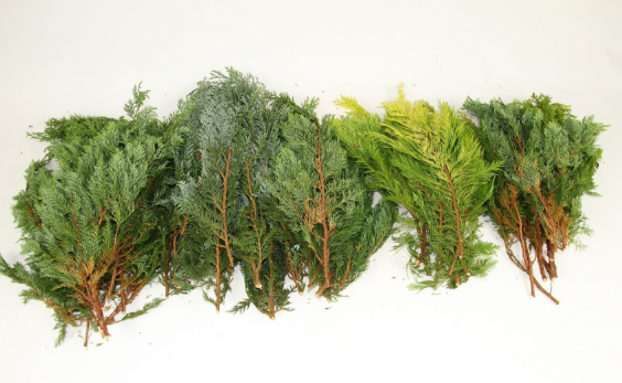 <h4>CONIFEER MIX ZAK 5KG</h4>