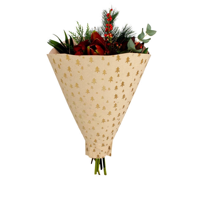 <h4>Housses 52x35x10cm OPP40 Kraftline rose</h4>