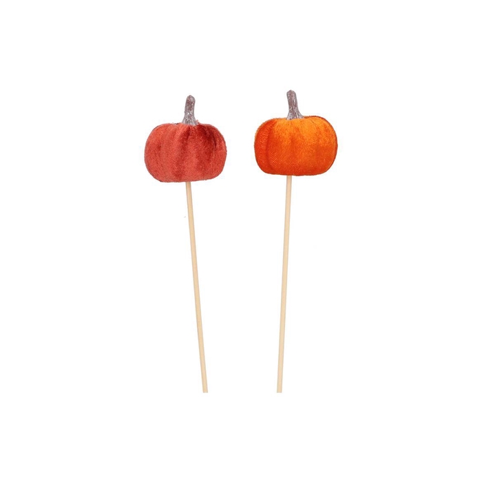<h4>Pick Joyful Orange Pumpkin Velvet Ass 50cm P/1</h4>