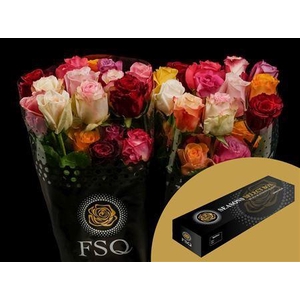 R Gr Rainbow Mix Box