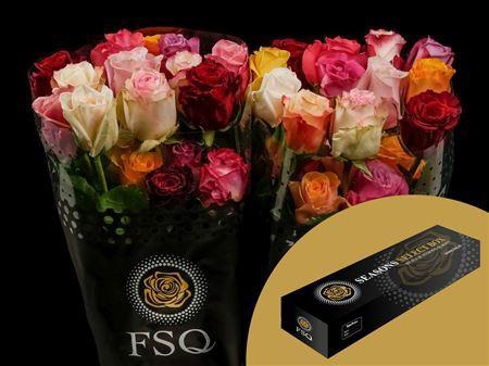 <h4>R Gr Rainbow Mix Box</h4>