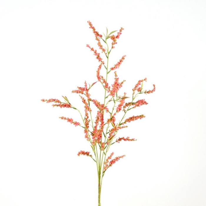 <h4>AF imonium spray L100cm or</h4>