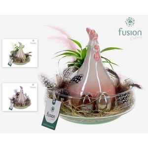 Green Bottle Iris Medium Pasen met arrangement