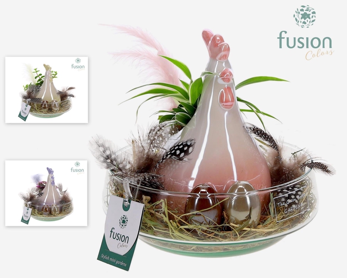 <h4>Green Bottle Iris Medium Pasen met arrangement</h4>