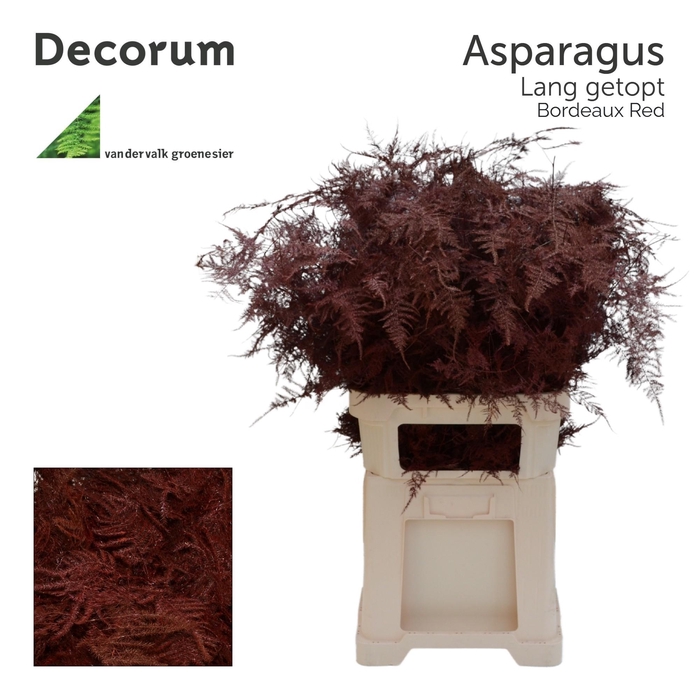 <h4>Asp lang getopt Bordeaux red</h4>