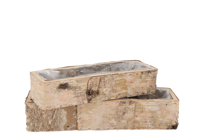 Nature Birch Planter Rectangle S/2 25x6x5 / 34x10x