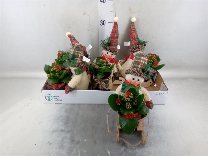 <h4>Arr.    Planten  L%</h4>